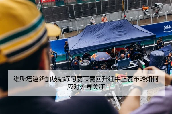 维斯塔潘新加坡站练习赛节奏回升红牛正赛策略如何应对外界关注